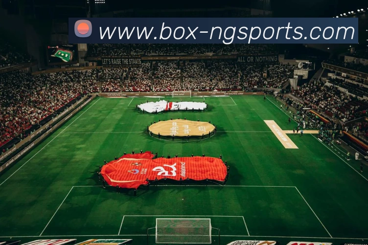 NG体育平台生态图